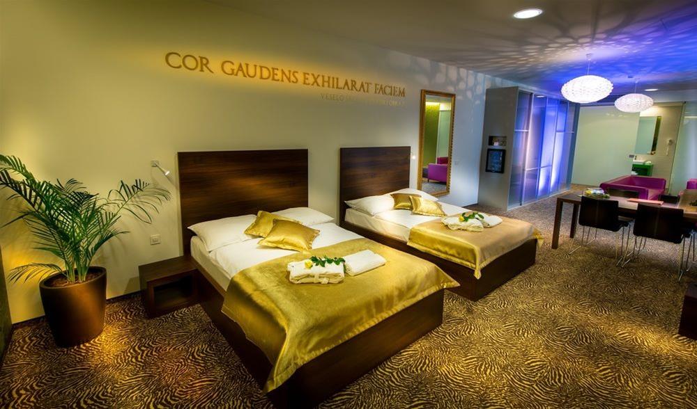 Room at Hotel Rimski Dvor - Rimske Terme (Adults Only), LASKO