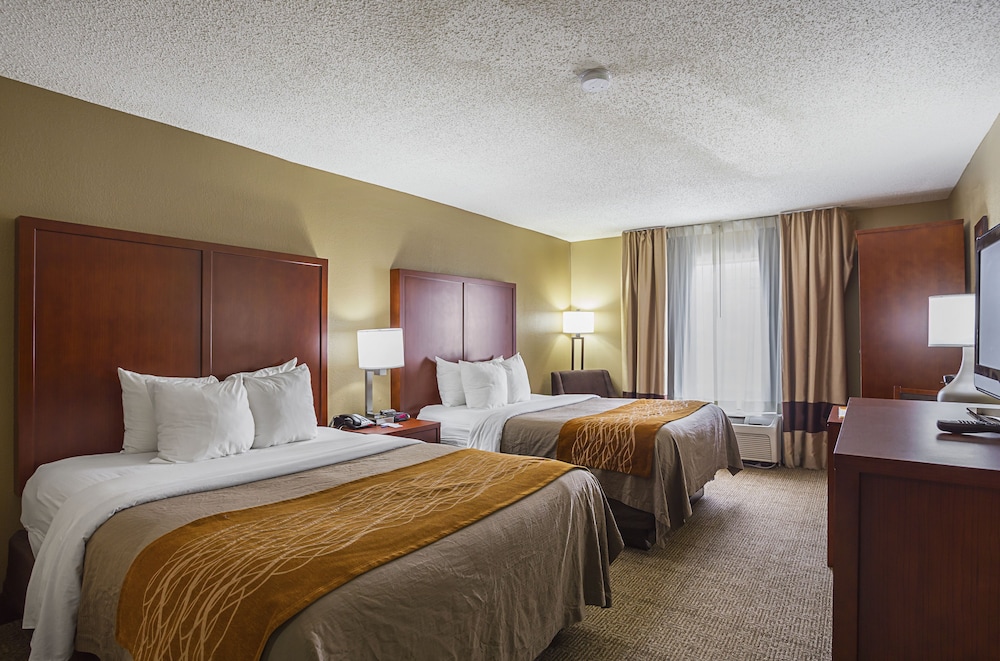 Comfort Inn Baton Rouge 9/33