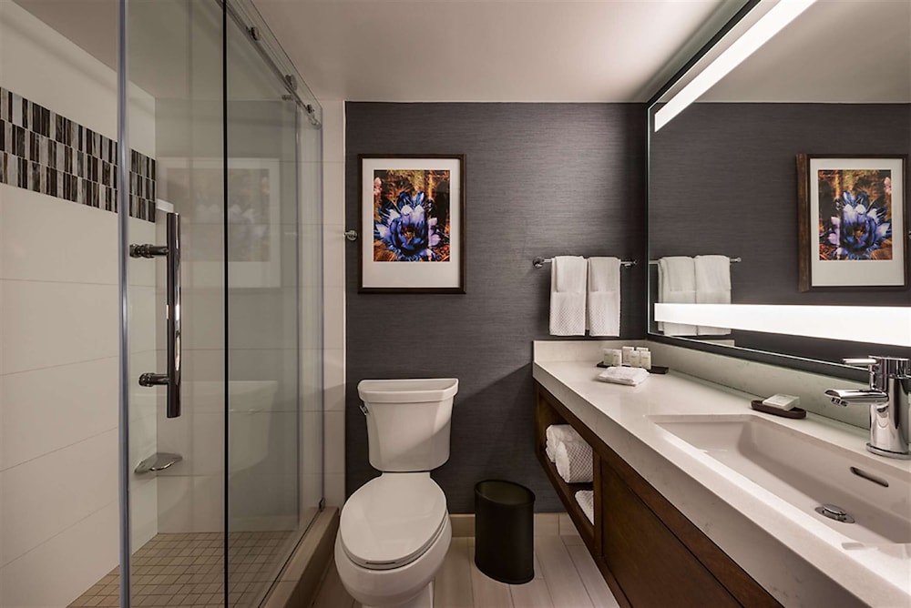 Embassy Suites by Hilton Scottsdale Resort 15/63