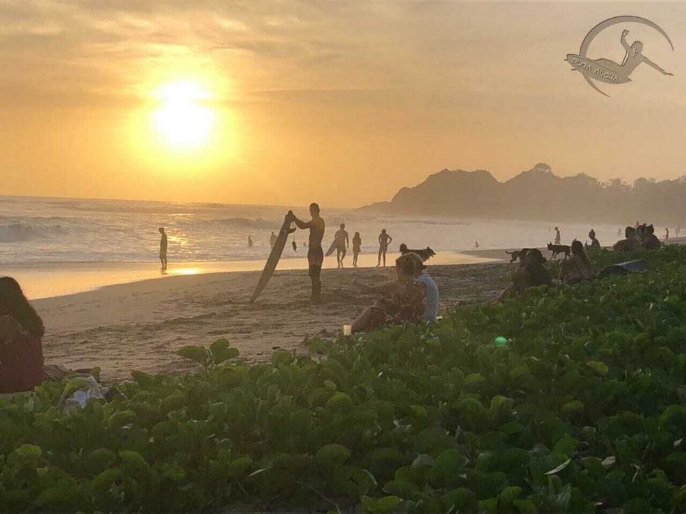 Aloha Surf Nosara 27/46