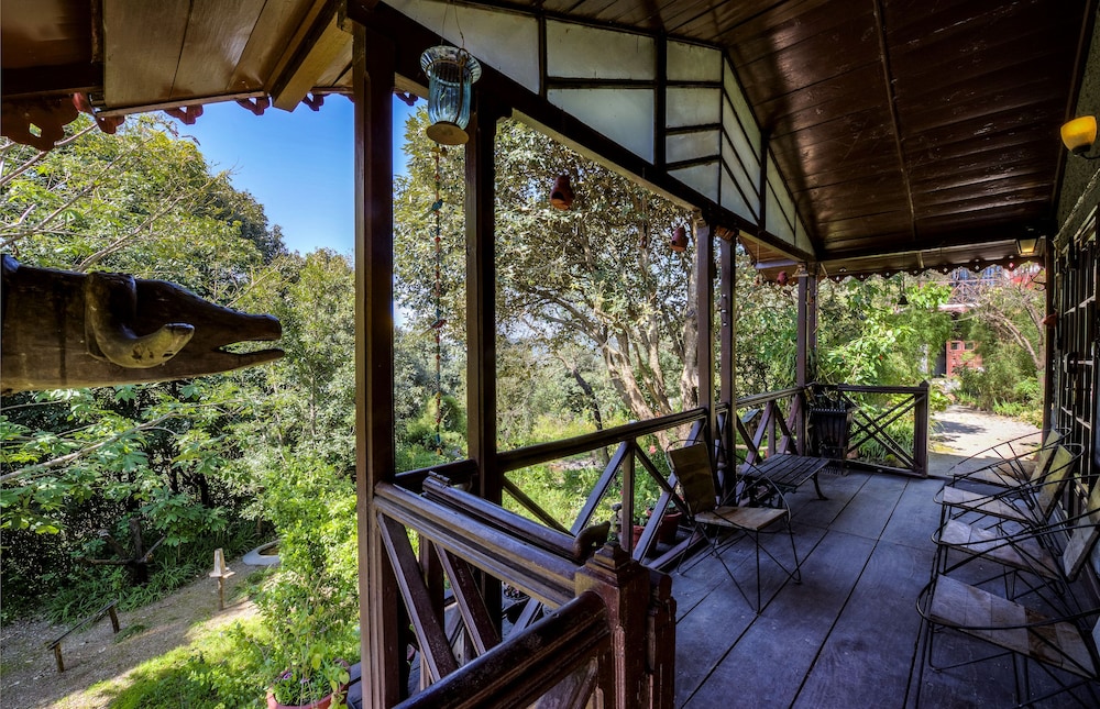 Jungle Lore Birding Lodge 14/29