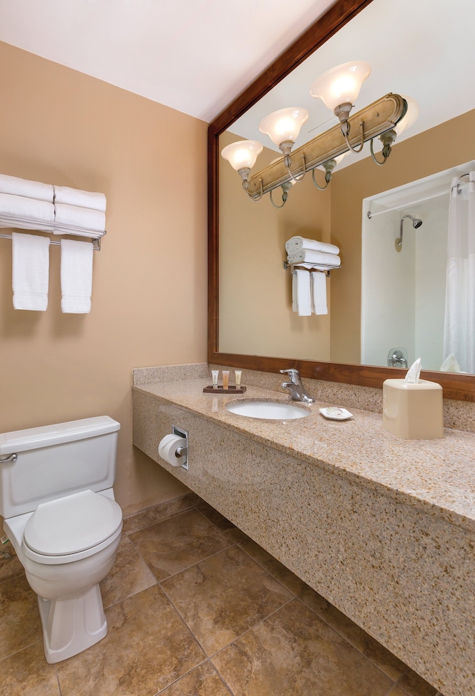 Worldmark Palm Springs - Plaza Resort and Spa 15/41