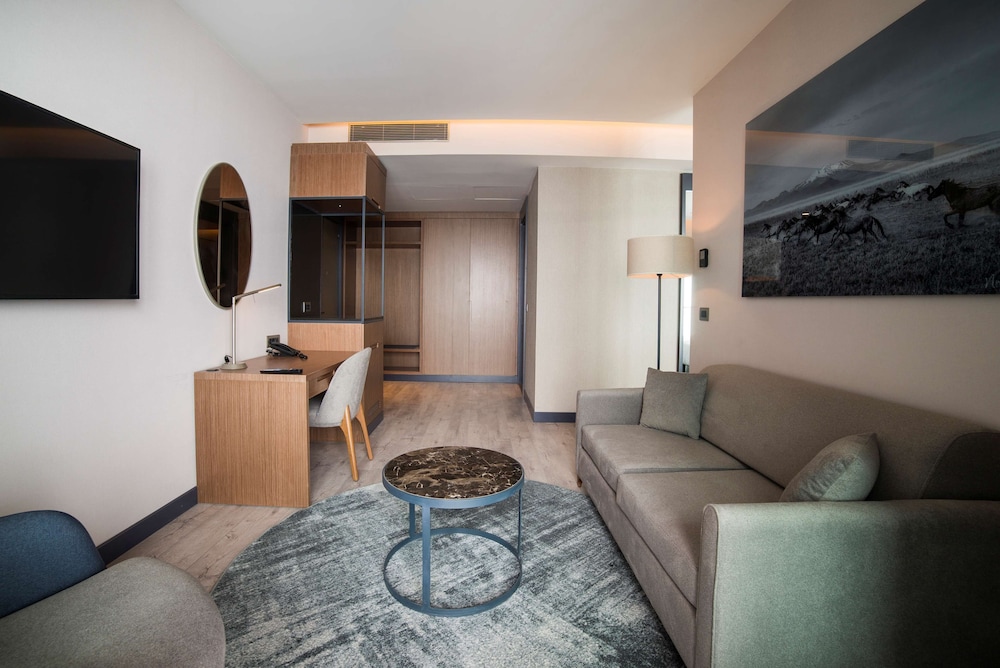 Radisson Blu Hotel Mount Erciyes 49/68