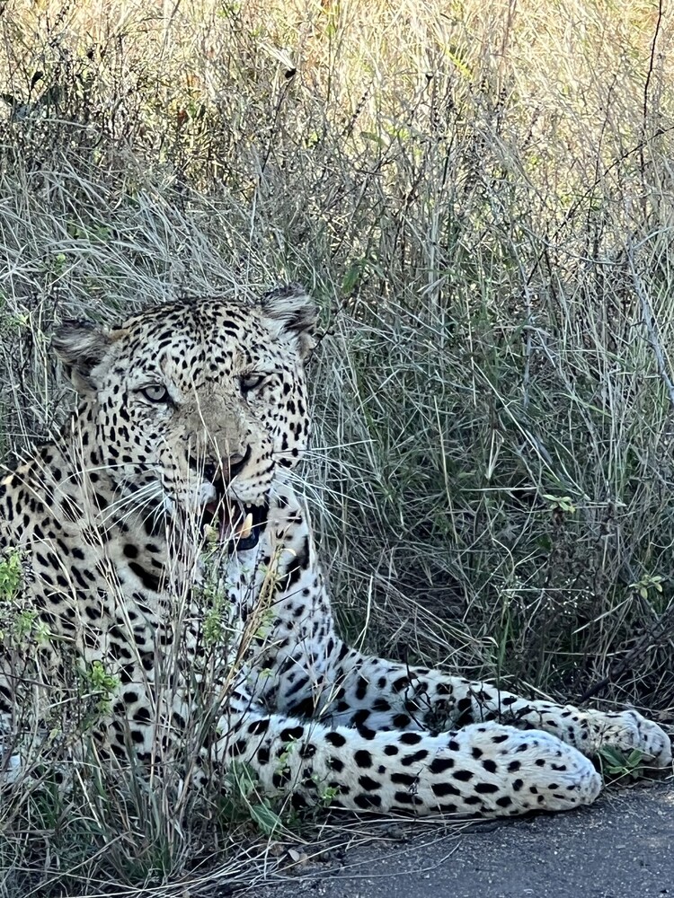 Nyala Luxury Safari Tents 23/50
