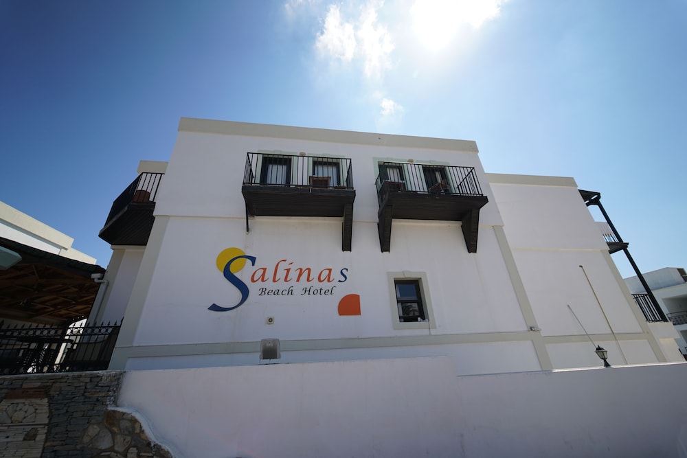 Bodrum Salinas Hotel 写真1