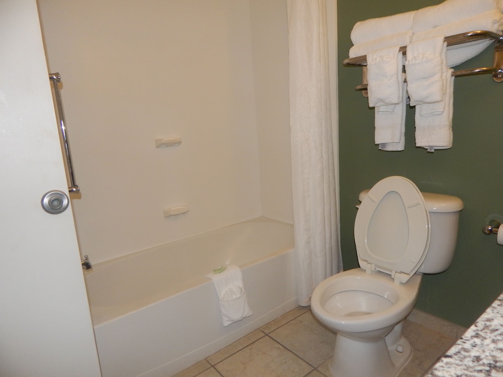 Suite, King Bed, Sleep Inn & Suites Evergreen I-65 2/3