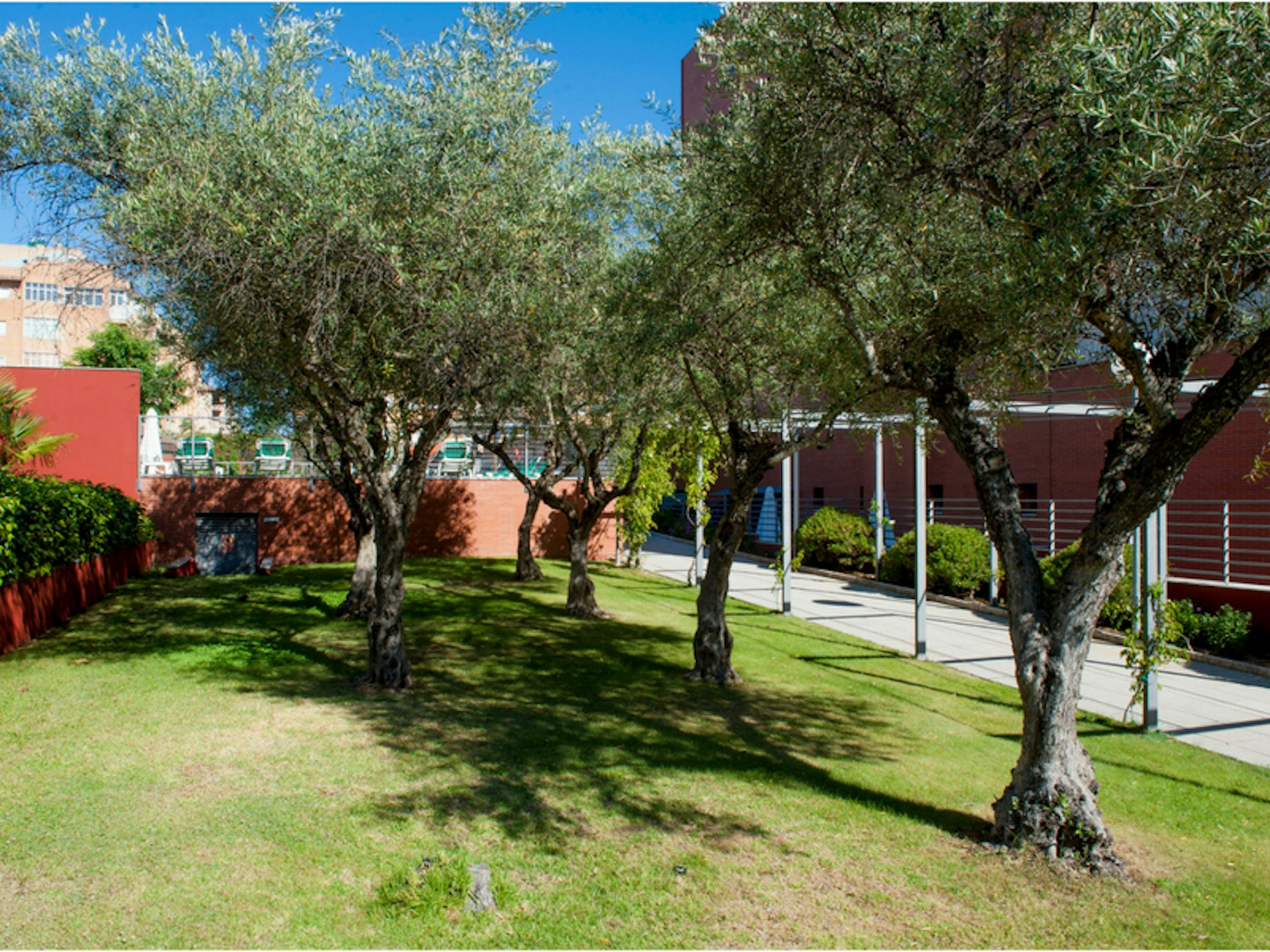 Sercotel Extremadura 59/64