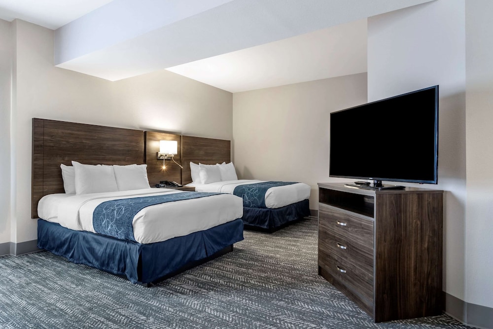 Comfort Suites McDonough Atlanta South 5/24