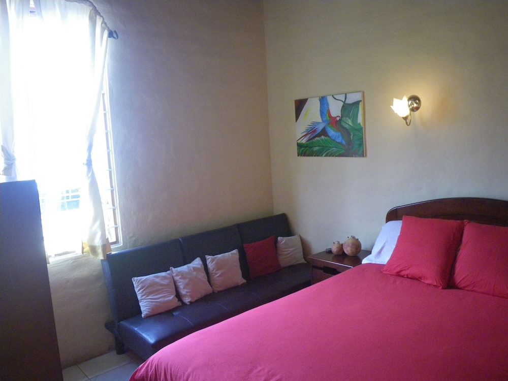 La Casa Amarilla 7/42