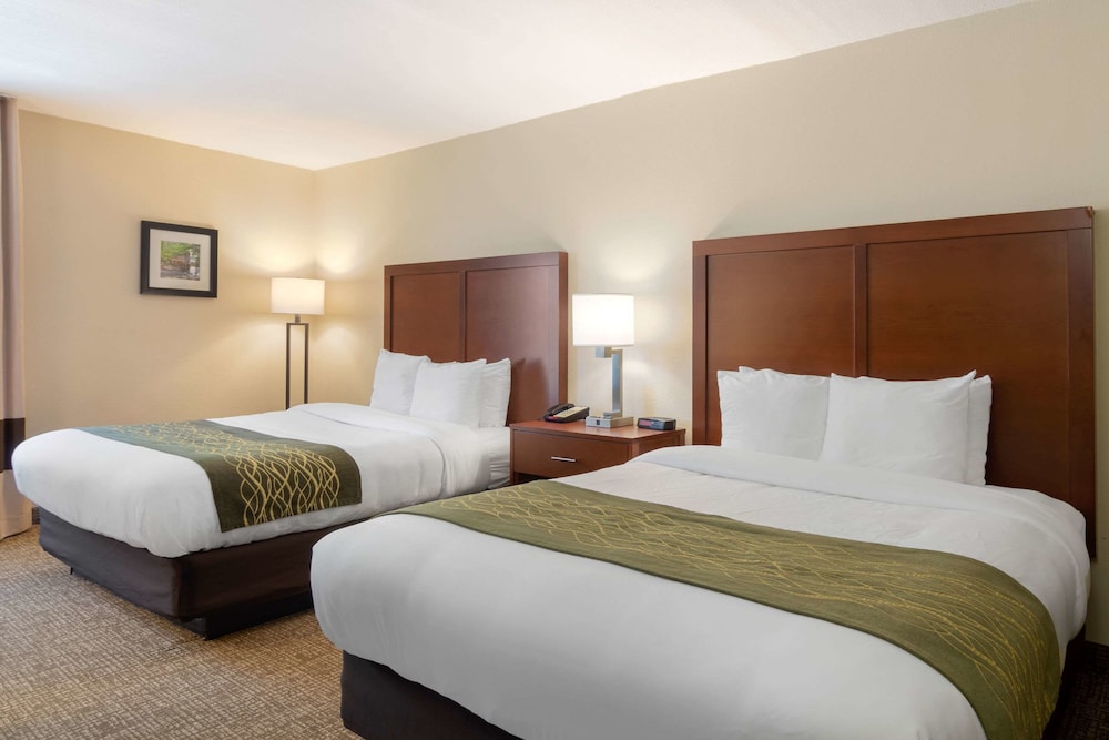 Comfort Inn Douglasville - Atlanta West 15/27