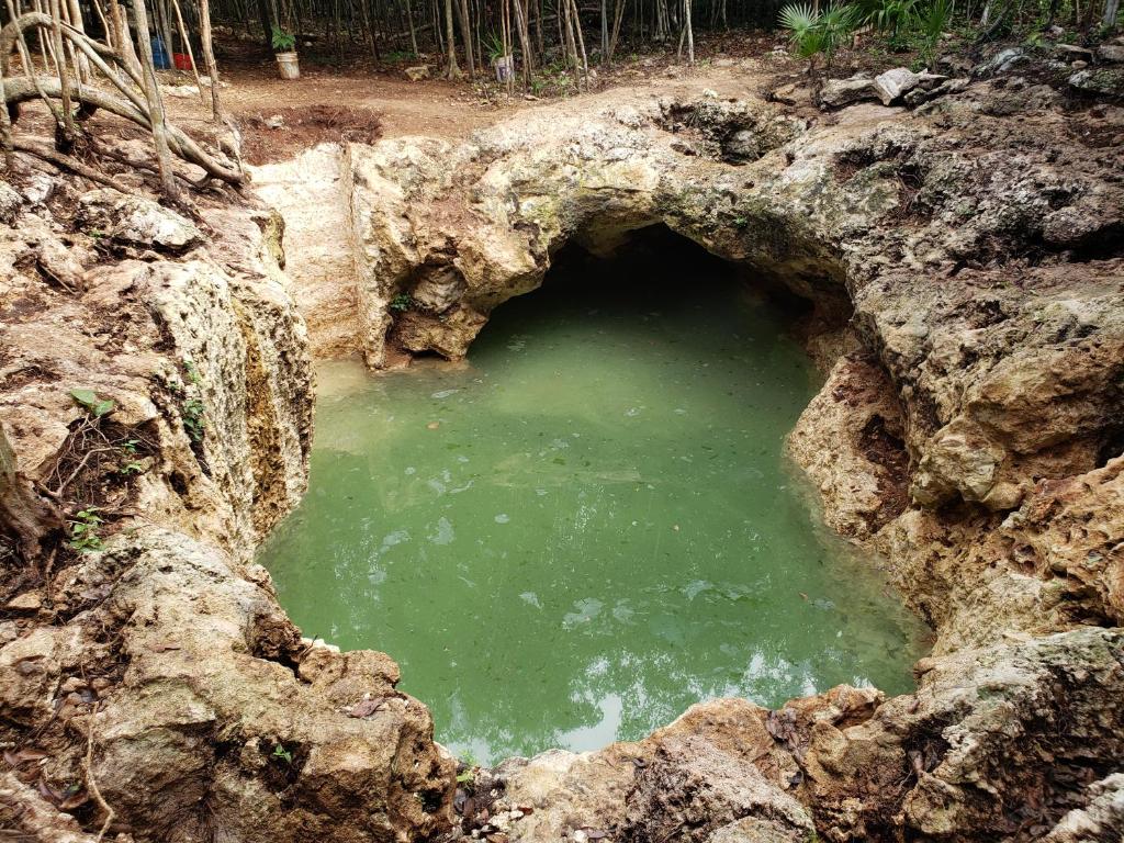 Aldea Maya-Ha Cabanas con Cenotes 46/55