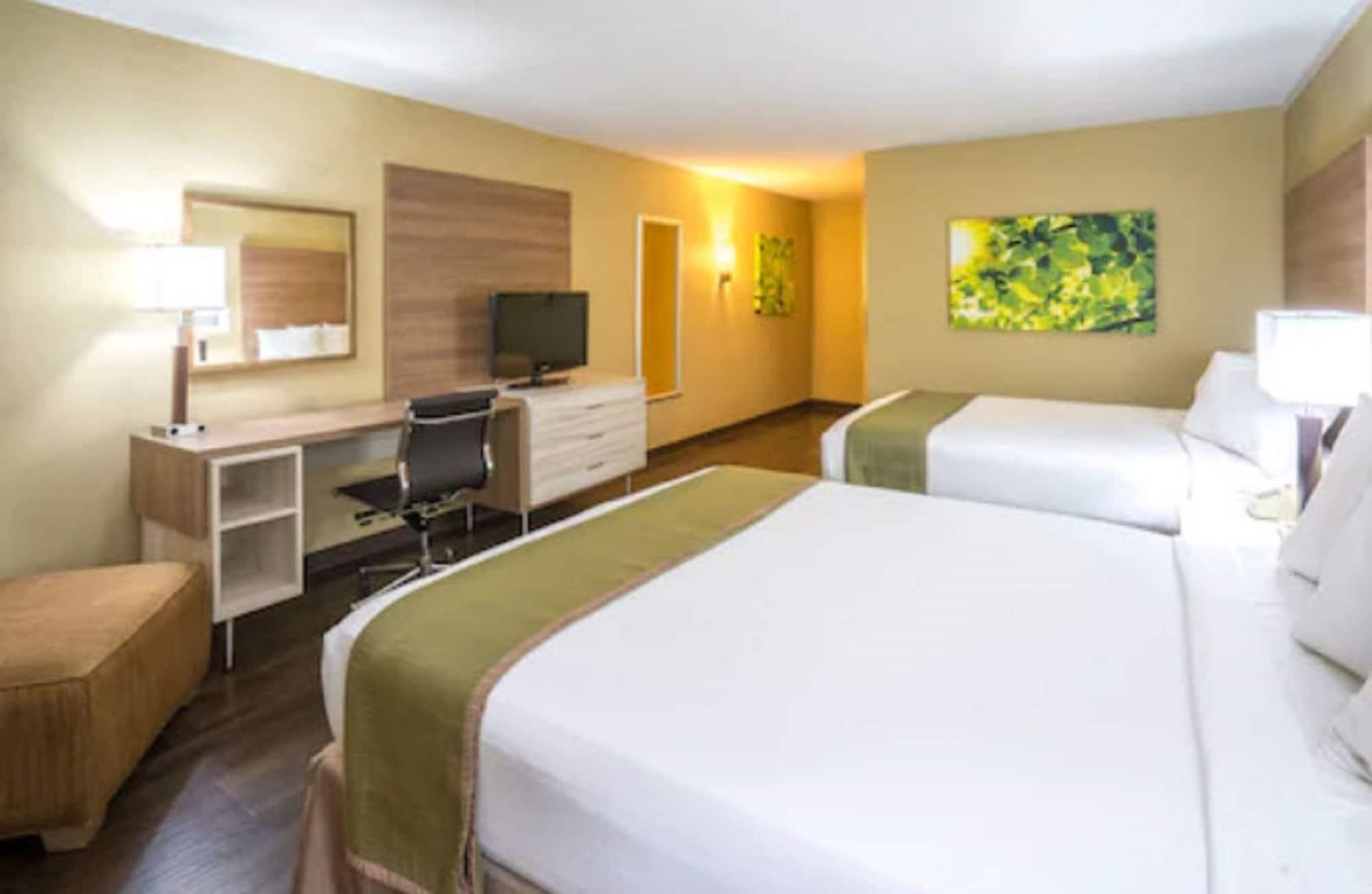 Room, Multiple Beds