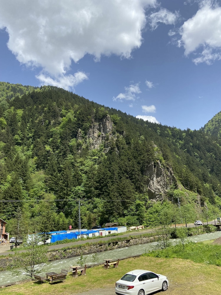 Uzungol Soylu Hotel 37/50