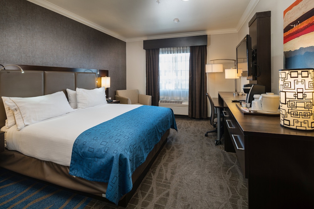 Holiday Inn Express Hotel Suites Santa Clara 14/58