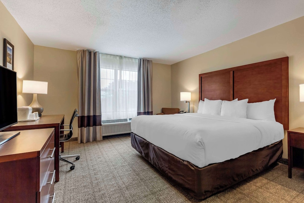 Efficiency, King Bed, Kitchenette