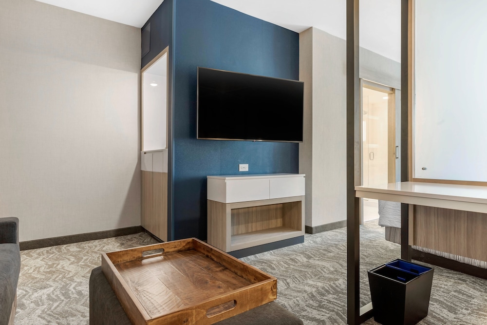 Springhill Suites By Marriott Charlotte Southwest 34/49