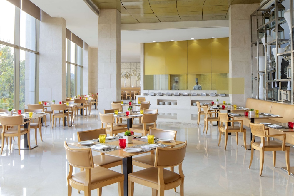 Radisson Blu Hotel, New Delhi Dwarka 34/50