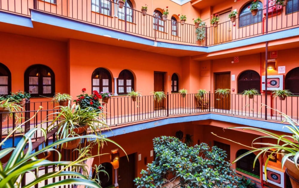 Patio De La Alameda photo4