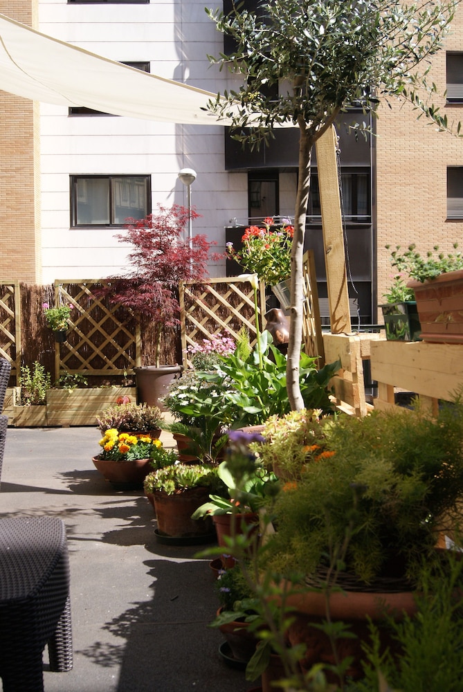Aloha Hostel 29/33