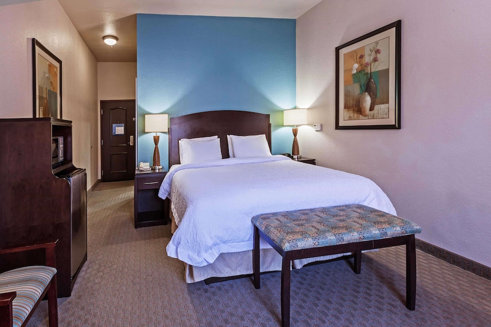 Hampton Inn and Suites Lake Jackson-Clute 18/41