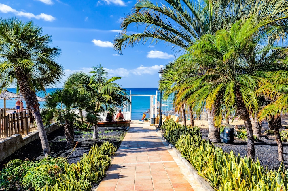 SBH Costa Calma Beach Resort 30/37