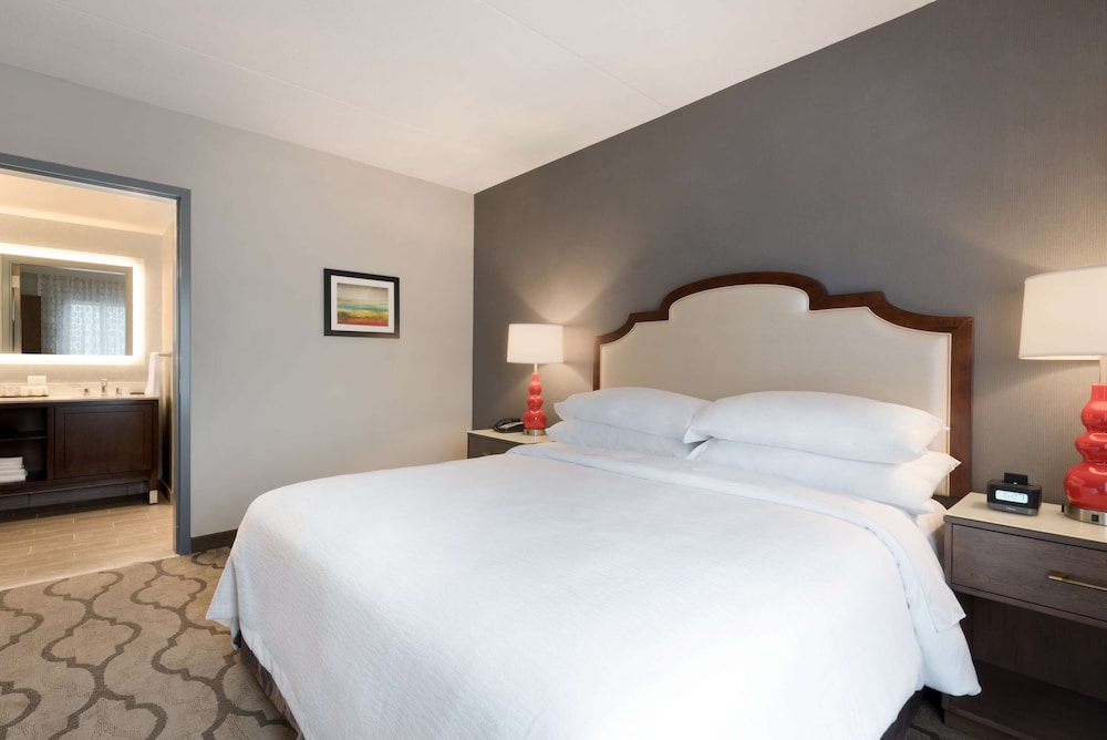Studio, King Bed, Sofa, Allergy Friendly
