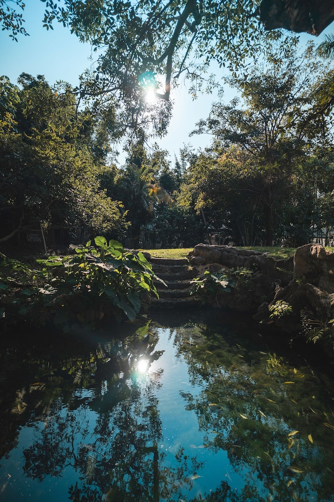 Hotel Quinta Moctezuma 39/60