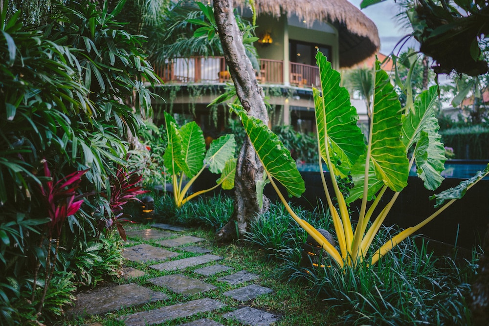 Honai Resort 38/50