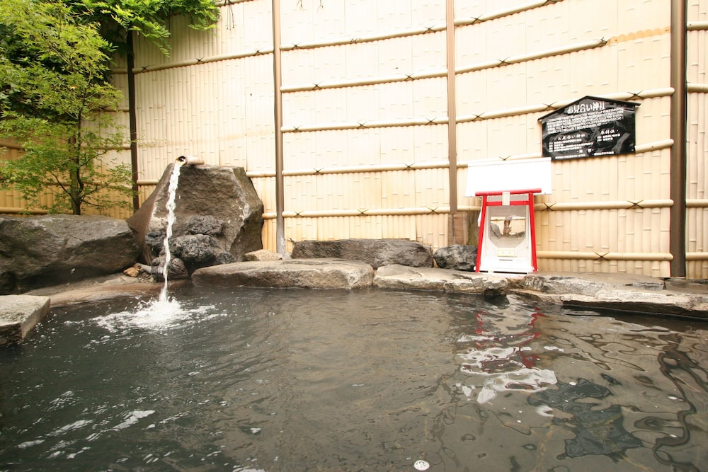 Nakaoyama Onsen Shosenkaku 11/50