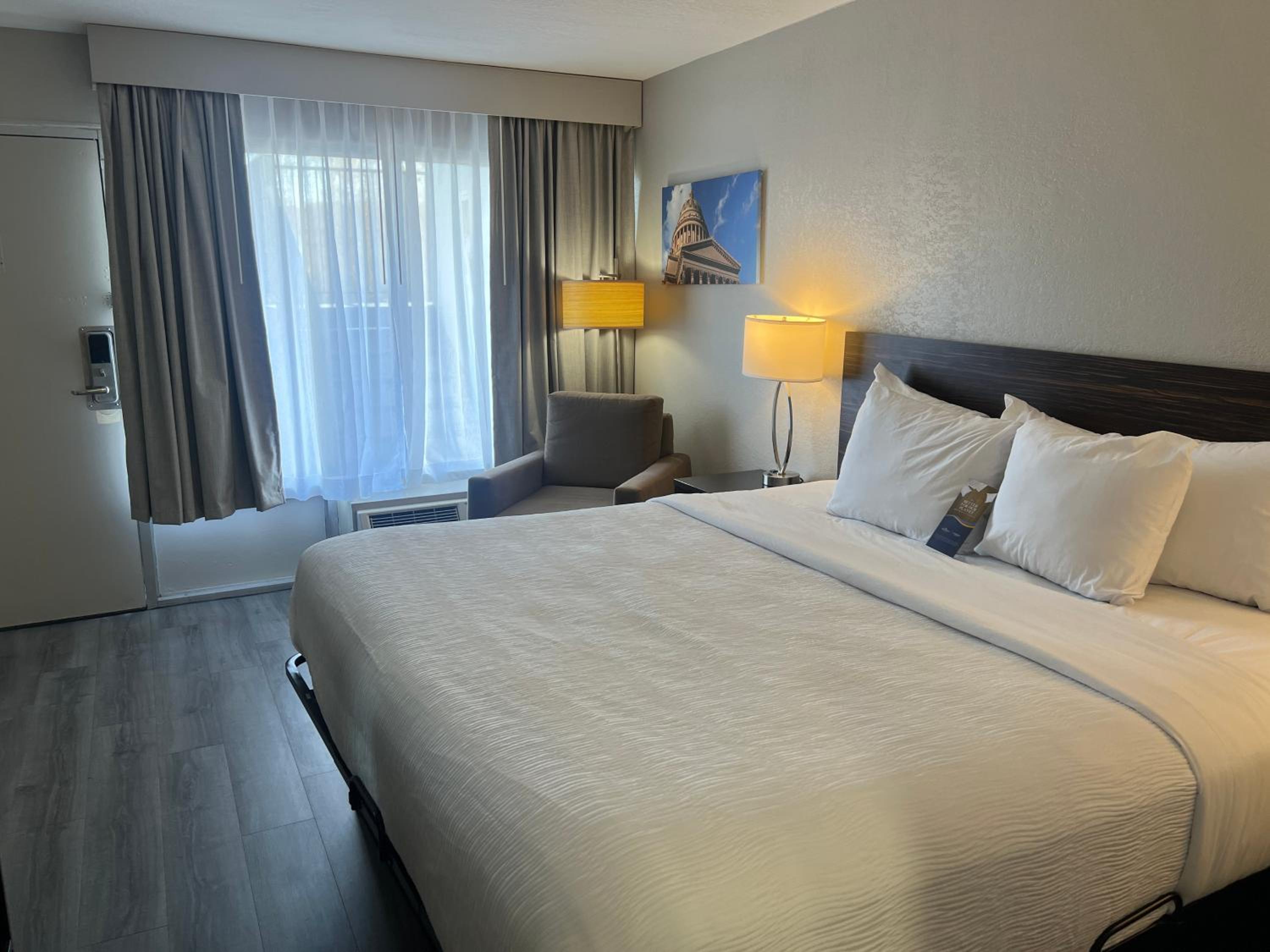 1 Bedroom, Suite, King Bed