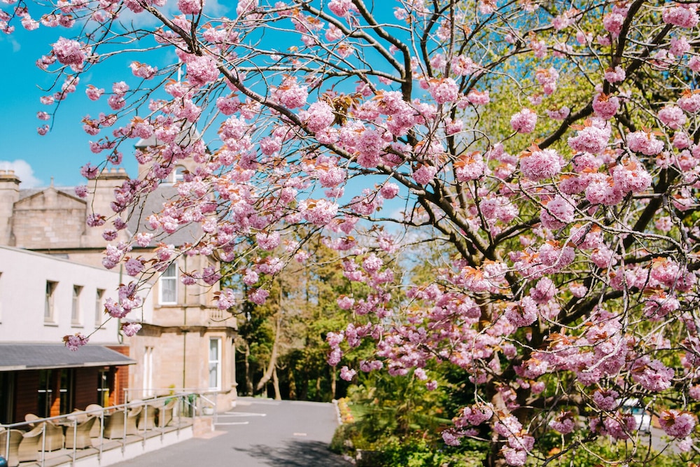 Lynnhurst Hotel 25/51