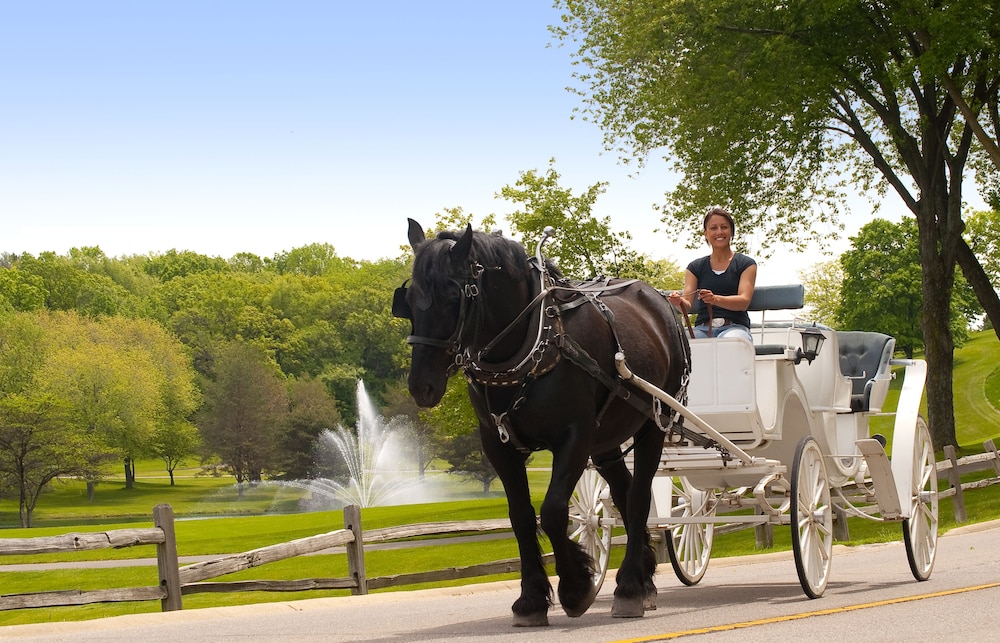 Holiday Inn Club Vacations At Lake Geneva Resort 16/39