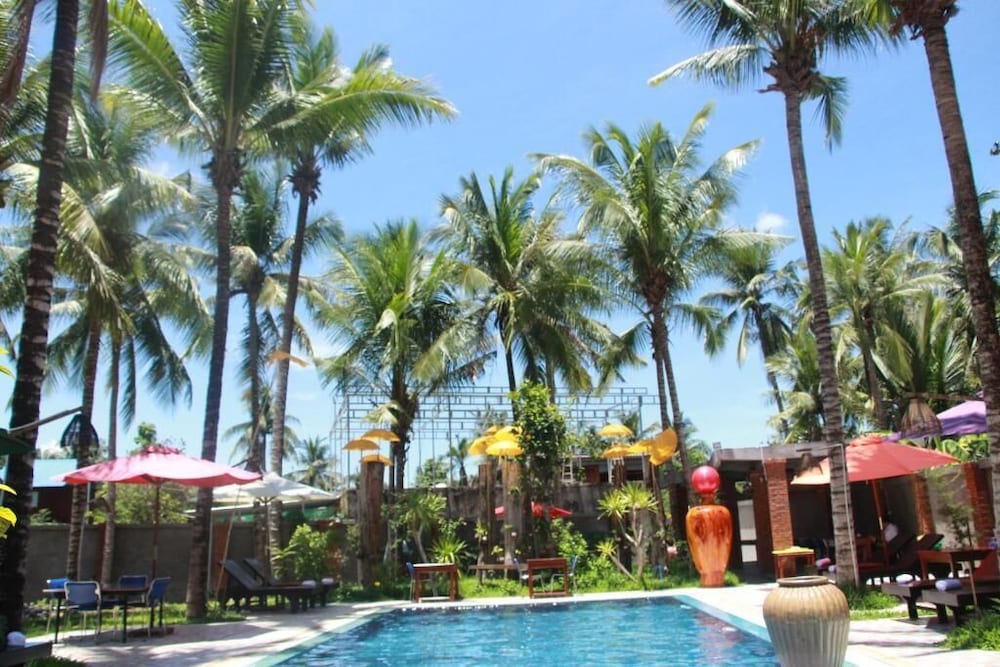 The Coconut House 39/50