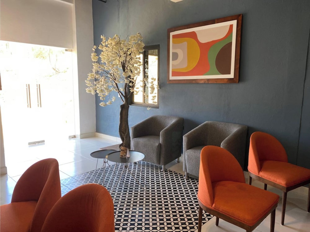 Collection O Morgan City Center, Los Cabos 38/57