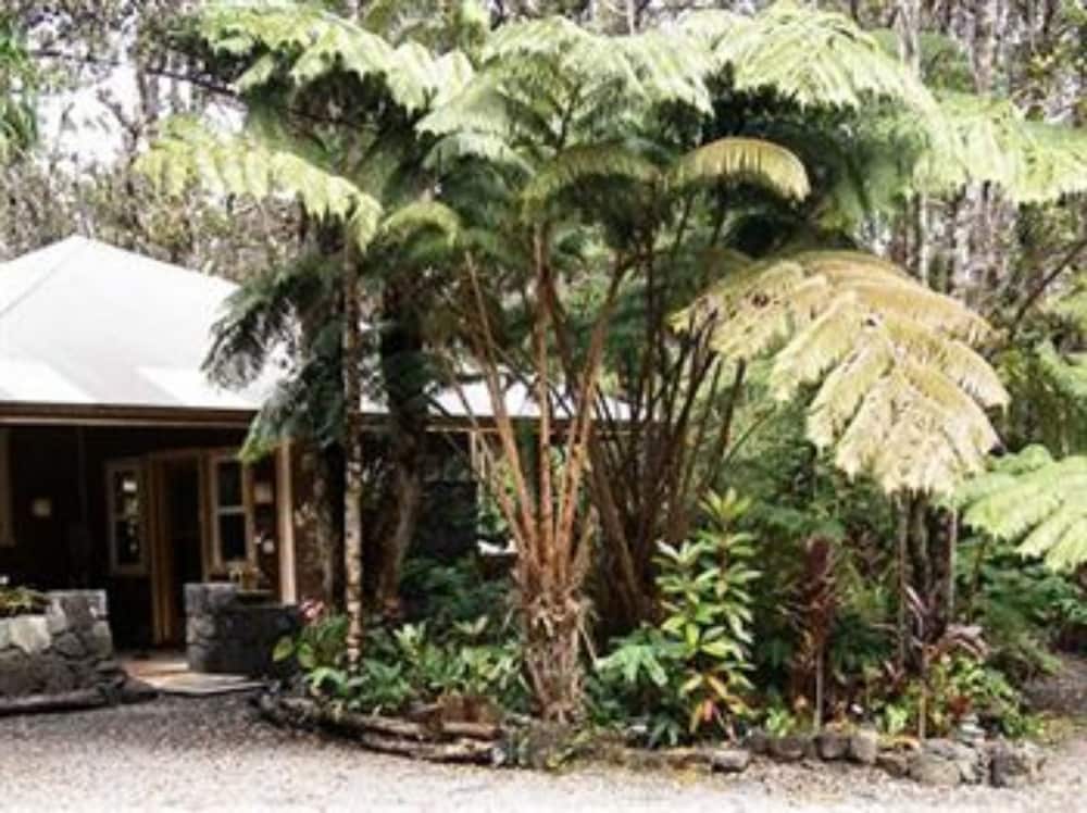Volcano Mist Cottage 19/20