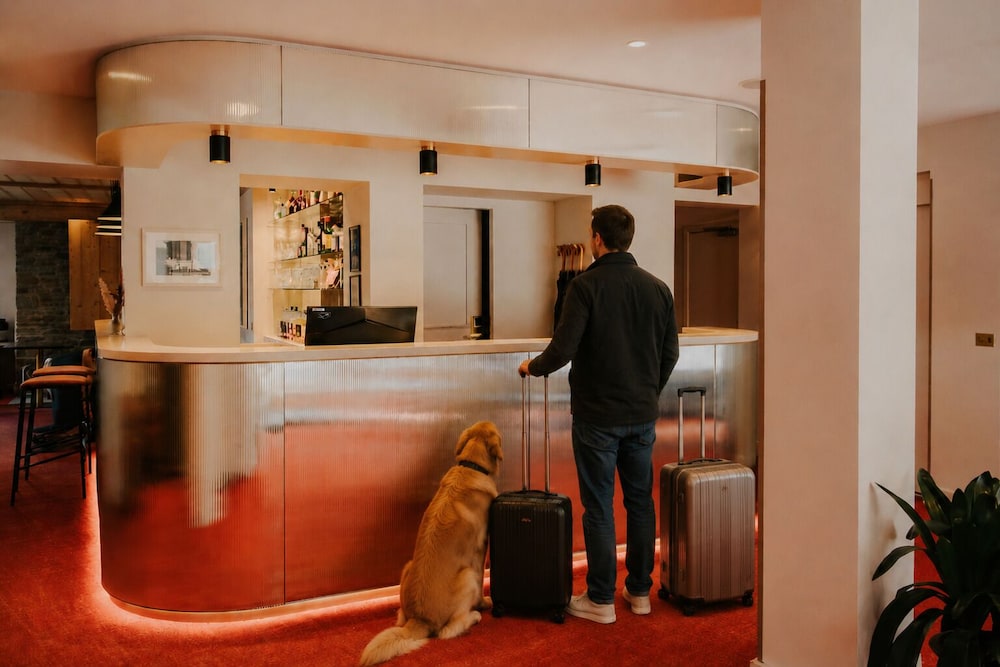 Hotel Lyret Chamonix 7/50
