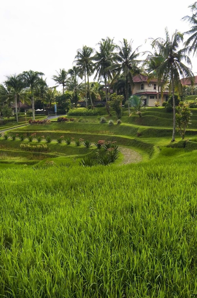 Hotel Puri Asri 49/67