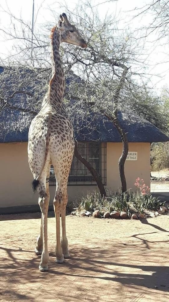 Kruger Cottage 25/36
