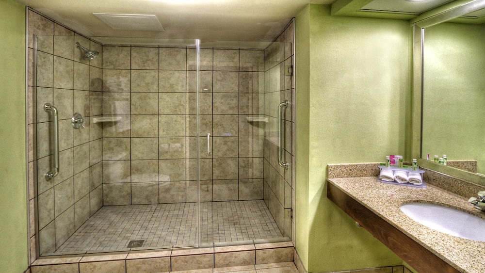Holiday Inn Express Greenville 12/64