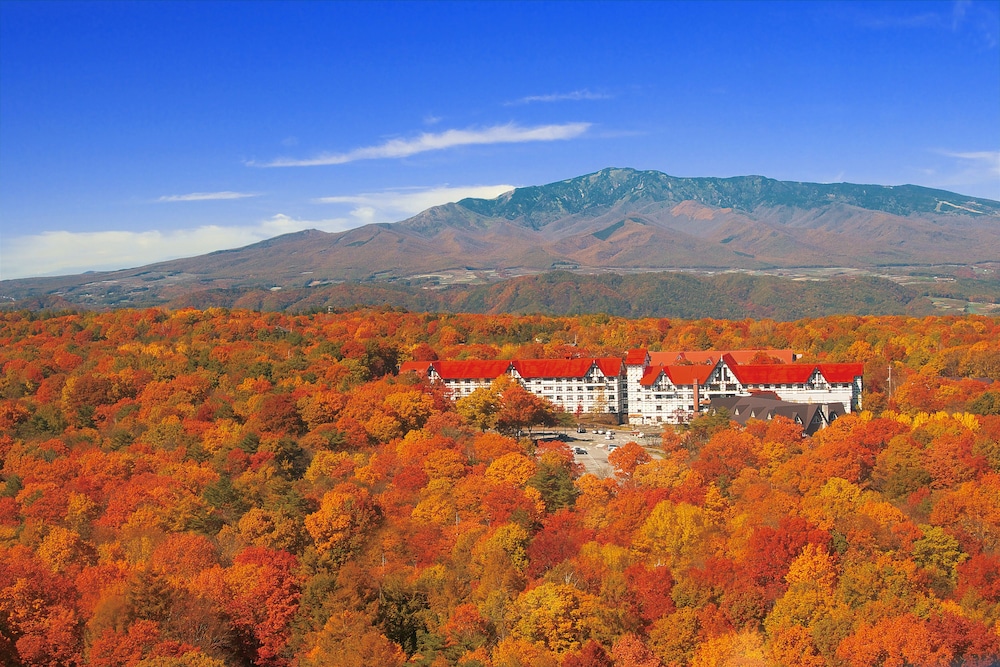 Hotel Green Plaza Karuizawa 11/15