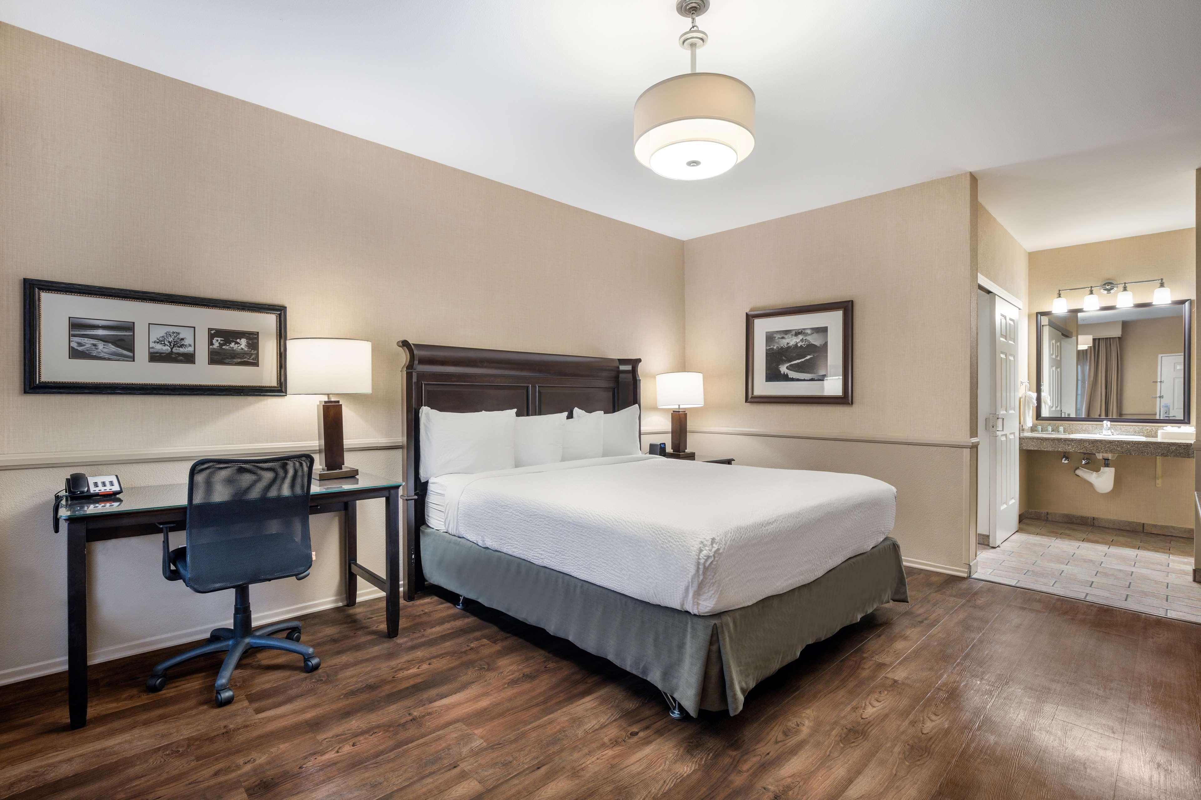 Room, King Bed, Accessible