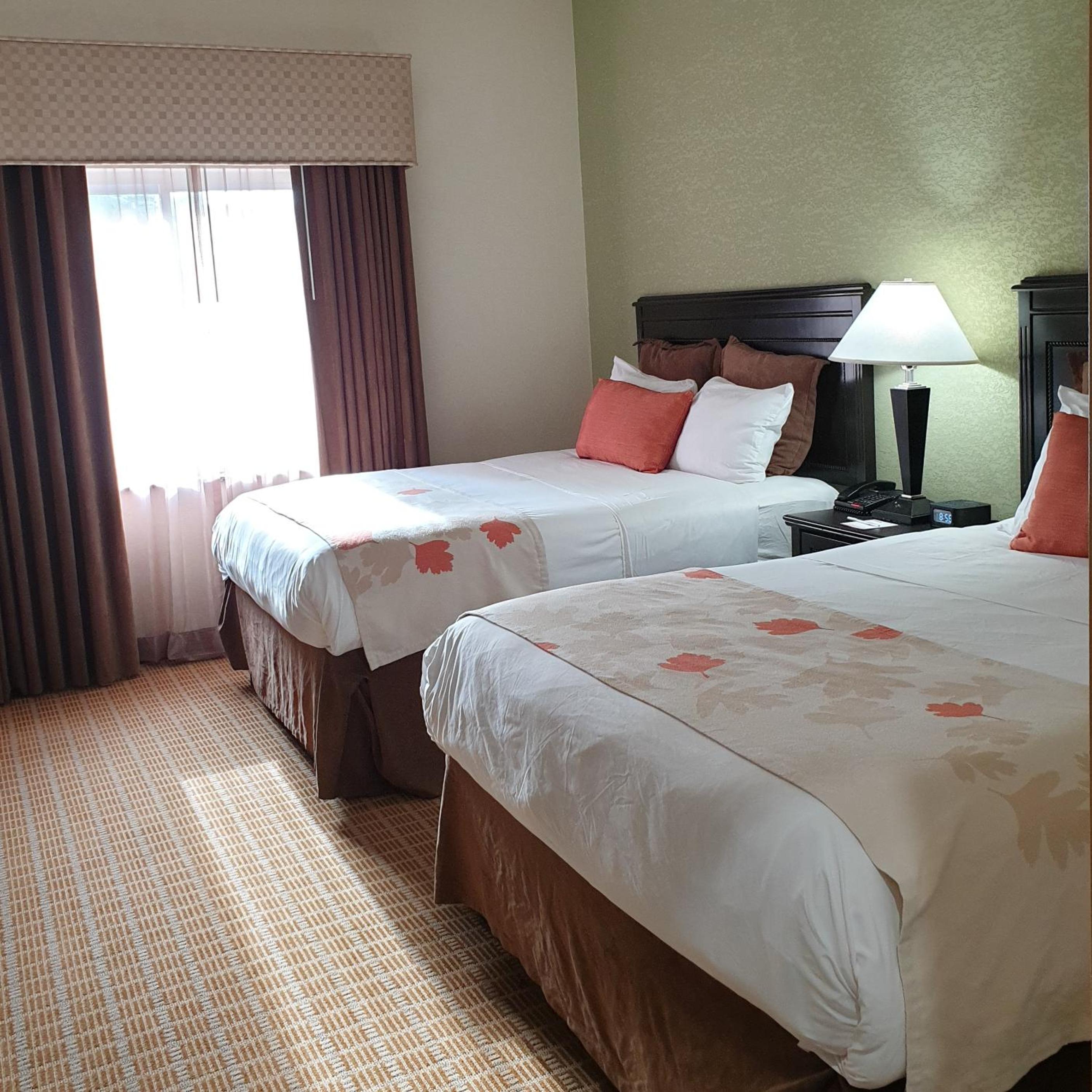 1 Bedroom, Suite, Queen Bed, Accessible