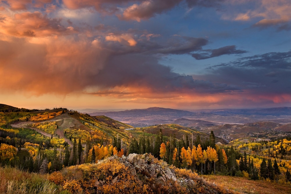 Montage Deer Valley 55/59