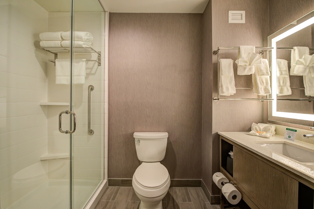 Holiday Inn Hotel Suites Houston West Katy Mills 4/54