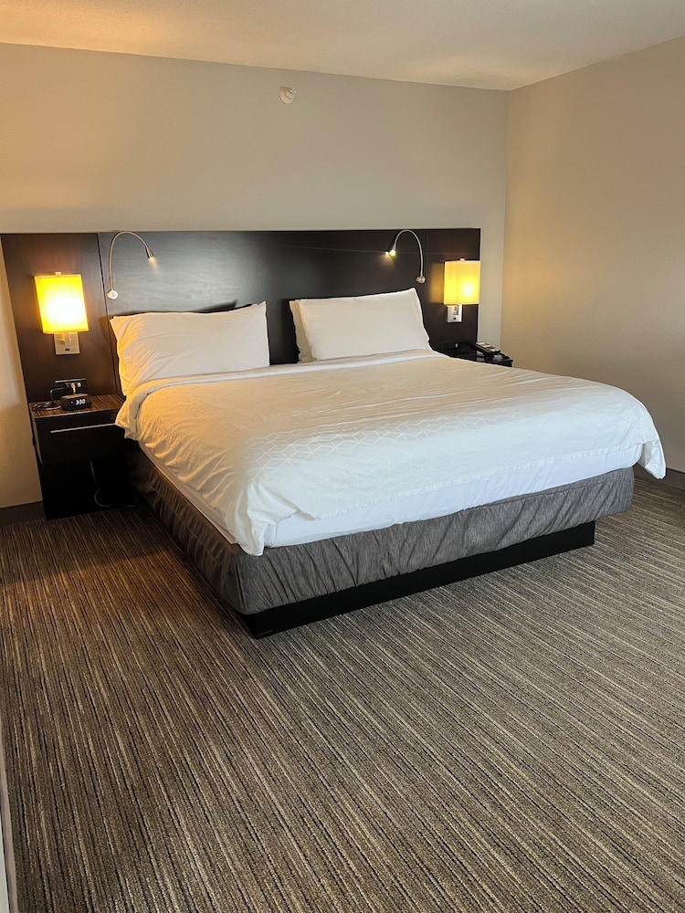Specialty, Single Bed