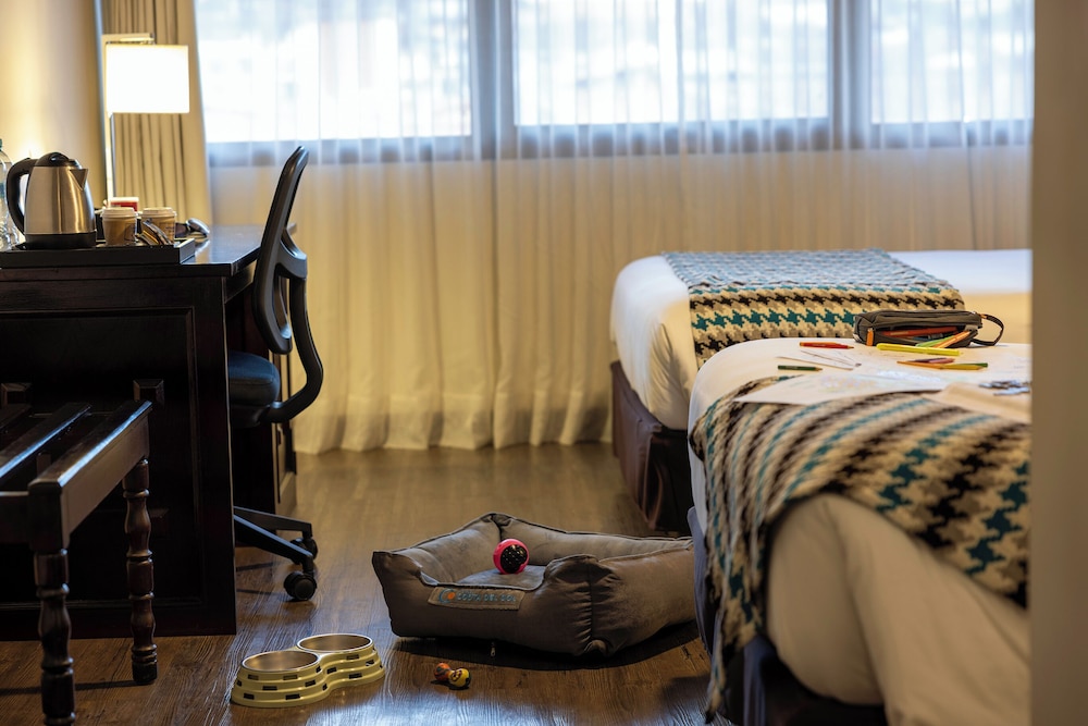 Wyndham Costa Del Sol Cusco 53/79