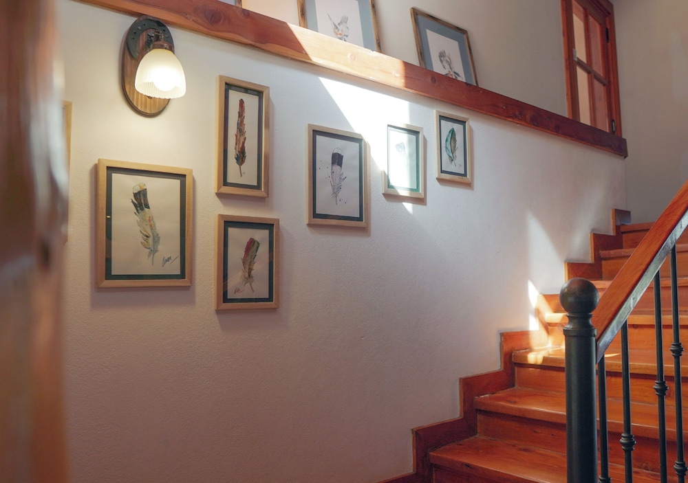 El Bosque by DOT Tradition 34/64