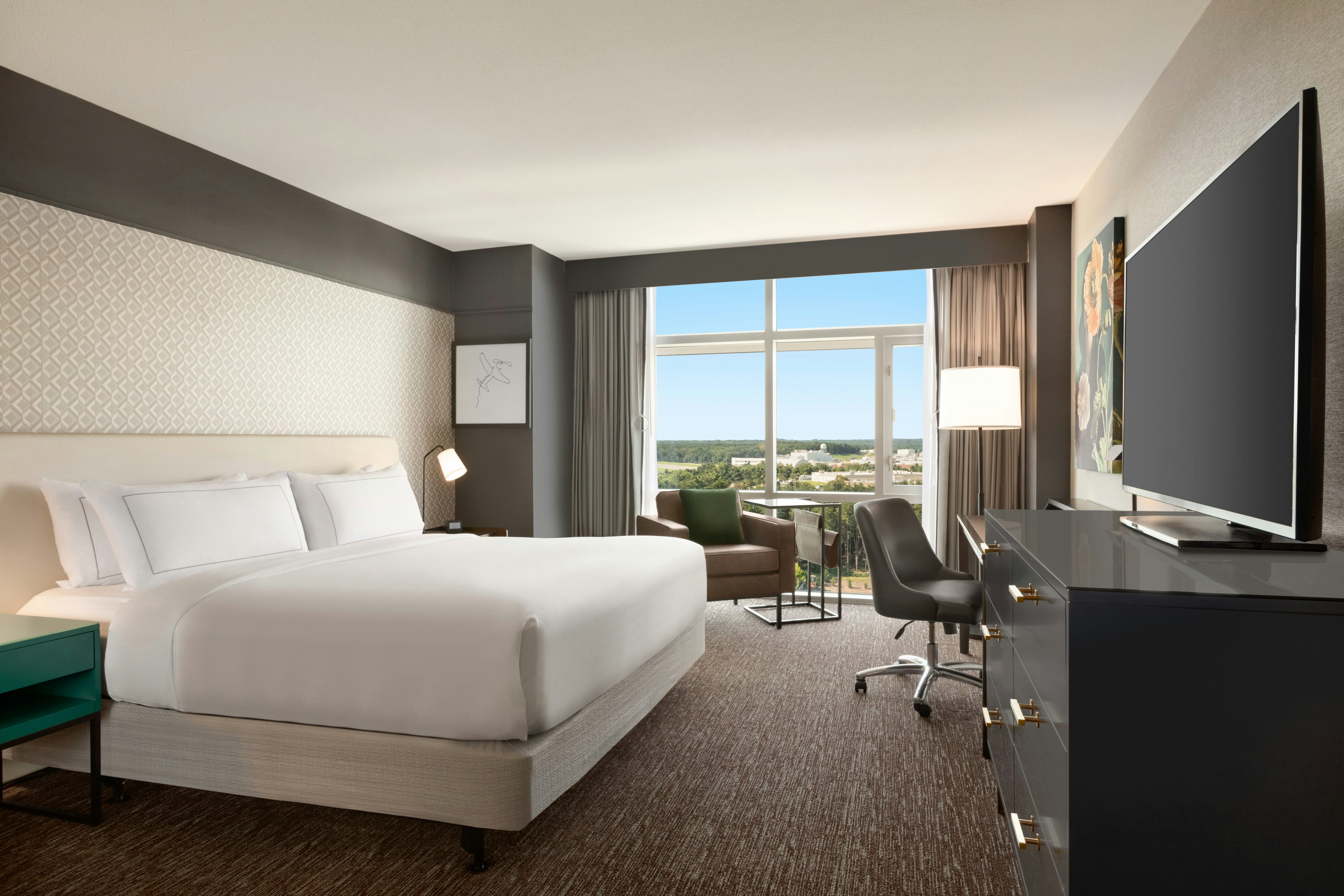 Hilton Baltimore Bwi Airport 18/69