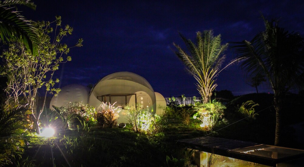 Green Land Bubble Glamping 6/60