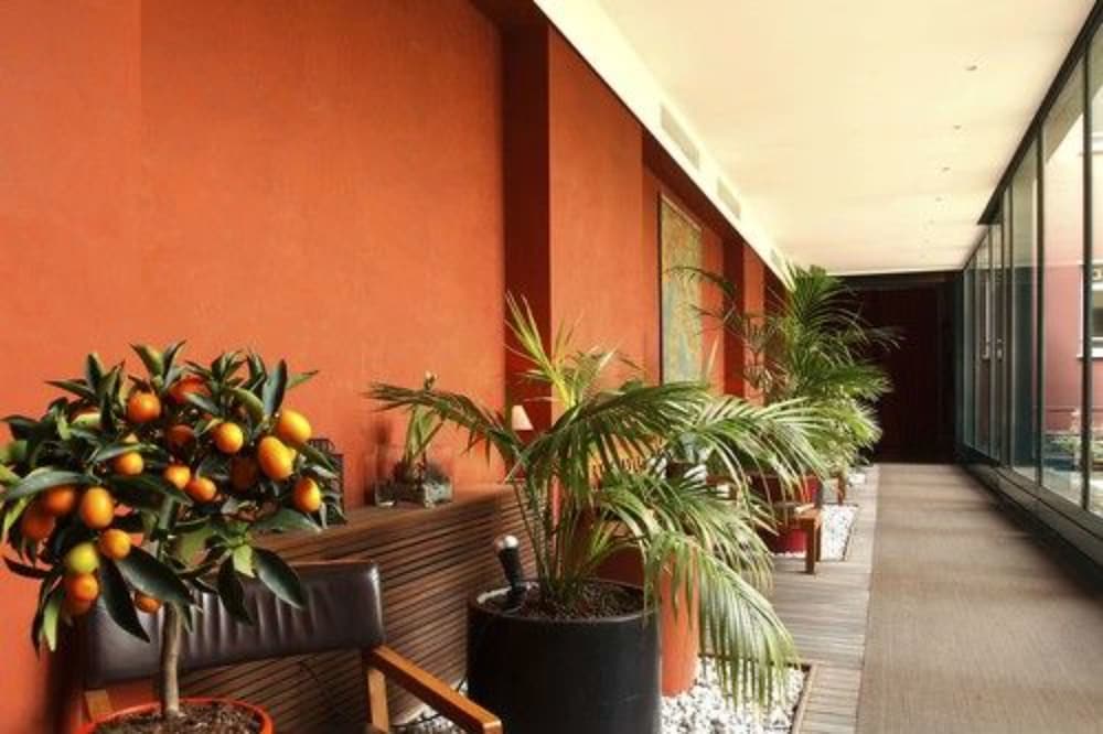 Residence Pian Della Nave 10/50